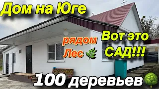 Дом на Юге / рядом Лес🌿/ Вот это САД!!! 100 деревьев 🌳