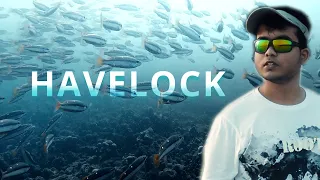 Havelock Island | Andaman and Nicobar Islands | EP 2