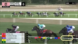 Laurel Park Carrera 6 (The Selima Stakes) - 30 de Septiembre 2023