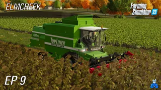 ČAS ŠE ZA SONČNICE! | Farming Simulator 22 - Elmcreek | Epizoda 9