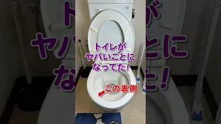 【ズボラなトイレあるある】頑固なフチ裏汚れをプロがお掃除！ #Shorts