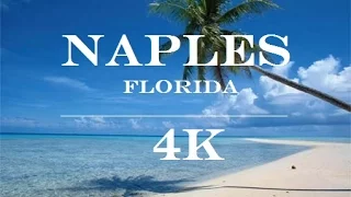 Aerial view of Naples Florida 4k