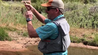 Fly fishing southern Utah