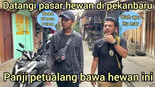 PANJI PETUALANG DATANGI PASAR HEWAN DI PEKANBARU,WAH ADA YANG DI BAWA PULANG GIMANA CARA NYA INI