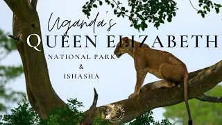 Queen Elizabeth National Park & Ishasha sector,  one of the most popular parks in Uganda!