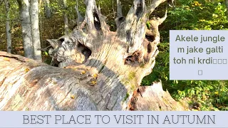 Best Place to Visit in Autumn in Latvia | Sigulda |