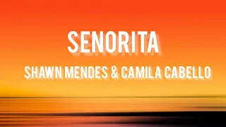 Shawn Mendes,Camila Cabello - Señorita Lyrics billboard view