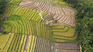 HIDDEN RICE TERRACES PARADISE BALI- The Most Stunning  Rice Terraces on The Entire Island of Bali.