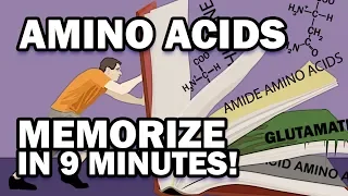 Memorize the 20 Amino Acids in 9 Minutes