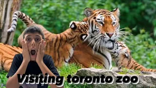 Toronto's zoo