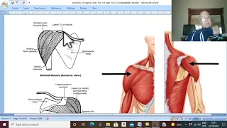 Musculo-skeletal Module I in Arabic 13 ( Deltoid Muscle ) , by Dr. Wahdan 2022