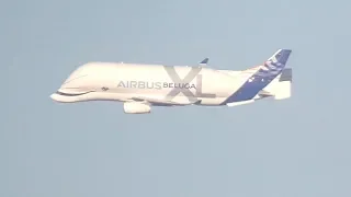 Airbus Beluga XL Filton Bristol Flypass 14th February 2019 F-WBXL