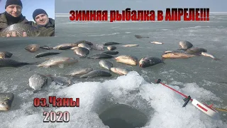 Рыбалка на льду в апреле/озеро Чаны/Колояр/Карась