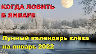 Лунный КАЛЕНДАРЬ для РЫБАКА на январь 2022! НЕ БЛАГОДАРИТЕ