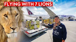 Special Rescue Flight - Flying With 7 Lions on Qatar Airways B777