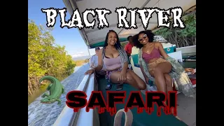 CROCODILES! Black River Safari, St Elizabeth | HILLARYXNORIA