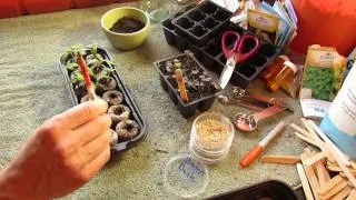 How to Grow/Start Tomato Seeds Indoors in Peat Pellets - The Rusted Garden 2014