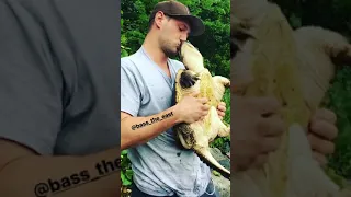 Snapping turtle bites man in the face FAIL !