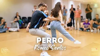 Perro - Romeo Santos | Daniel y Tom Bachata Dance [Sydney]