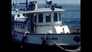 Captain Brown, Harbor Pilot - 1950 - CharlieDeanArchives / Archival Footage