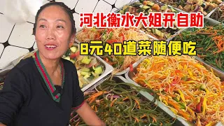 Hebei Hengshui elder sister open self-help  8 yuan tube full more than 40 dishes to eat at will  th