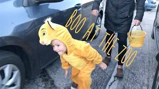 Willow as SIMBA - Halloween 2019