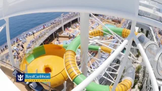 Plunge into A Water Adventure on Harmony of the Seas, Royal Caribbean Cruises