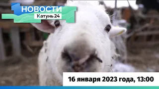 Новости Алтайского края 16 января 2023 года, выпуск в 13:00