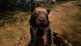 far cry primal новая задание ат даа СЕСТРЫ ОГНЯ