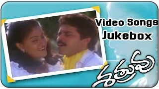 Shatruvu Telugu Movie Video Songs Jukebox || Venkatesh, Vijayashanti