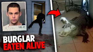 This Burglar Was EATEN ALIVE While Running From POLICE!