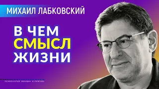 Лабковский Михаил В чем смысл жизни