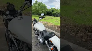 Open exhaust sound on a Harley Davidson sportster 883 superlow (slip on removed) #teambgc