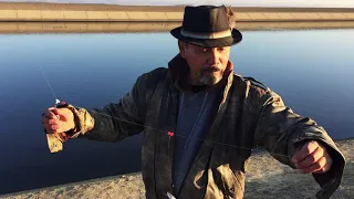 HOW TO CATCH STRIPE BASS AT CALIFORNIA AQUEDUCT USING BAIT.