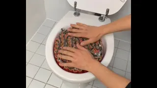 1000 Firecrackers Toilet Vs 25000 Matchsticks 1080 HD