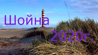 Шойна 2020г.