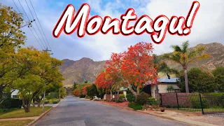 S1 – Ep 392 – Montagu – Nestled Amidst Majestic Mountains!