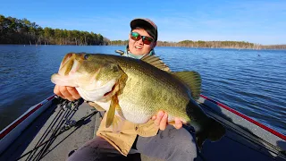 Chasing The State Record Bass