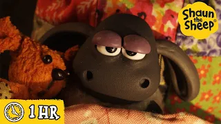 Shaun the Sheep 🐑 Timmy's Nightime Adventure 🦔🍂 Full Episodes Compilation [1 hour]