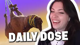 Reved REAGIERT auf DAILY DOSE! 😂