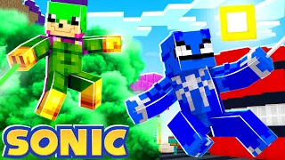 Sonic SPIDERMAN Far From Home! [102] | Sonic The Hedgehog 2 | Minecraft
