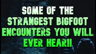 SOME OF THE STRANGEST BIGFOOT ENCOUNTERS YOU WILL EVER HEAR!!!