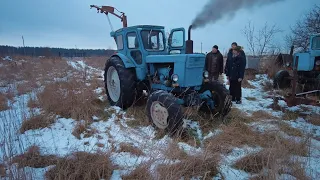 Ищем трактор Т-40 для нашего друга. Остались ли живые экземпляры???