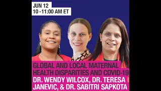 Global and Local Maternal Health Disparities and COVID-19