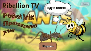 Pocket Ants: прохождение улья