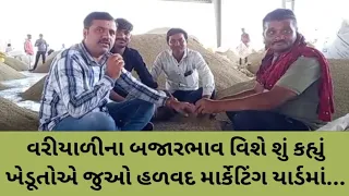 વરીયાળીના બજારભાવ વિશે શું કહ્યું ખેડૂતોએ જુઓ હળવદ માર્કેટિંગ યાર્ડમાં...