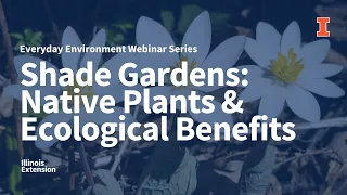 Shade Gardens: Native Plants and Ecological Benefits