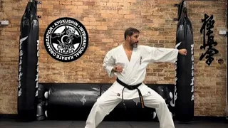 KYOKUSHIN KARATE PINAN SONO NI