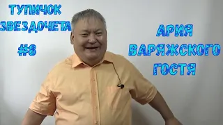 Тупичок Звездочета #8 Ария варяжского гостя