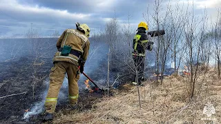 Ликвидация пала травы